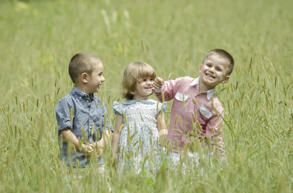 Дети играют на летнем поле — стоковое фото