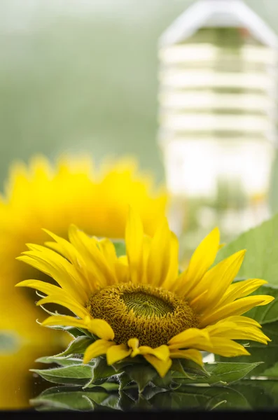Sunflower and sunflower oil bottle