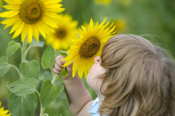 Niña en un campo de girasol Imágenes De Stock Sin Royalties Gratis