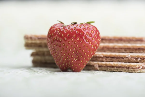Strawberry and wafers — Stock Photo, Image
