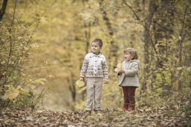 Çocuklar bir ormanda oyun 