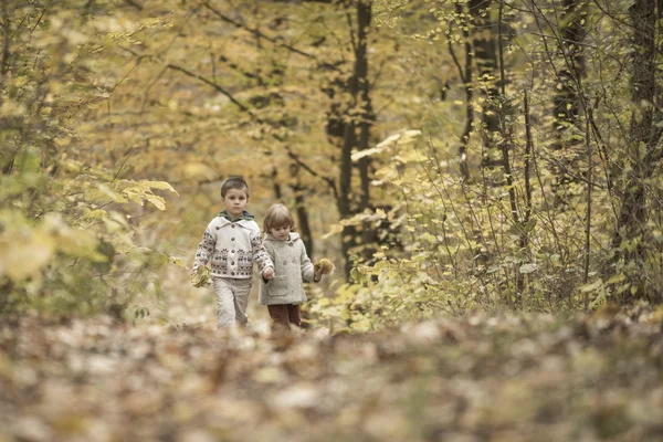 Enfants jouant dans une forêt — Photo