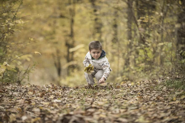 Beau garçon jouant dans une forêt — Photo