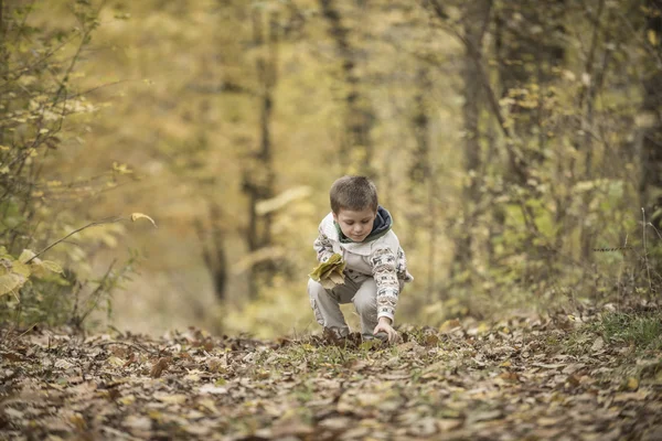 Beau garçon jouant dans une forêt — Photo