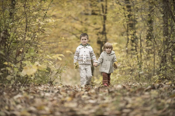 Enfants jouant dans une forêt — Photo