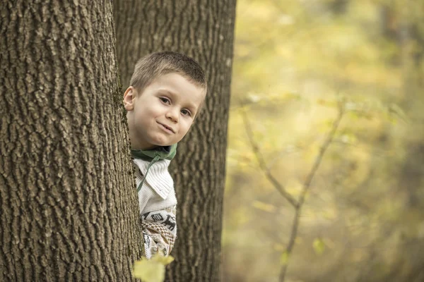 Dzieci bawiące się w lesie — Zdjęcie stockowe