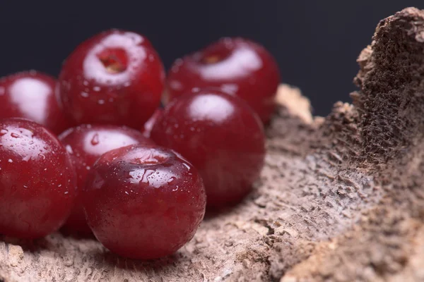 Sour cherry against a wooden background — Stock Photo, Image