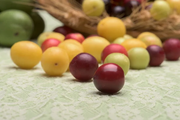 Cherry švestky skupina selektivní zaměření — Stock fotografie