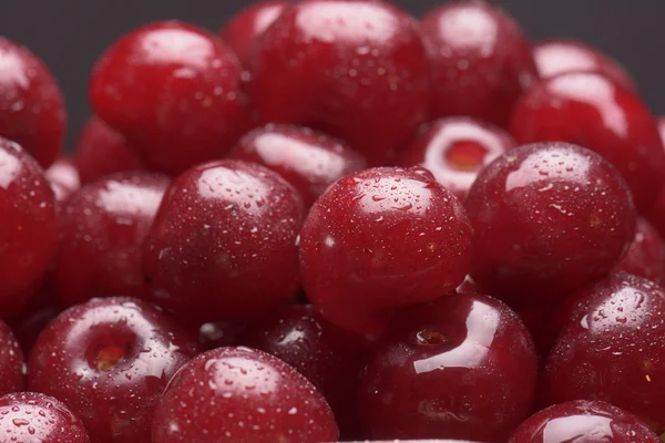 Sour cherry close-up — Stock Photo, Image