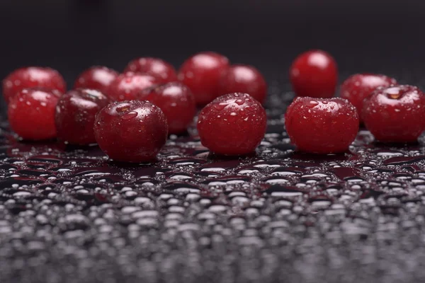 Cerezas agrias con gotas de agua Imagen De Stock