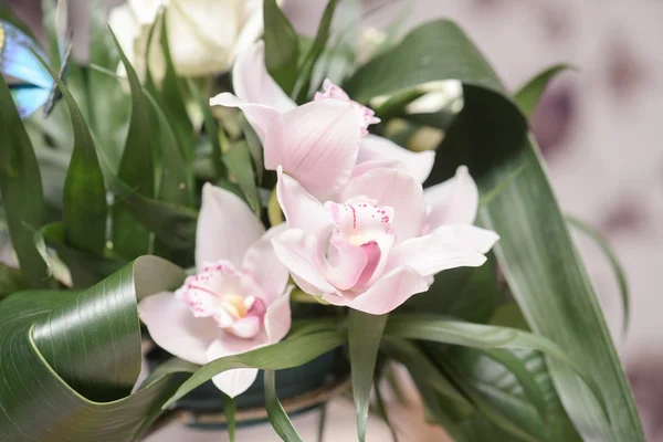 Arreglo floral con orquídeas — Foto de Stock