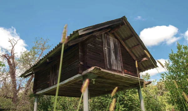 Uma Antiga Cabana Armazenamento Madeira Para Milho Aldeia — Fotografia de Stock