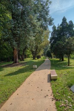 Güzel bir sonbahar parkı patikası, bankı ve çeşitli büyük yeşil ağaçları var.