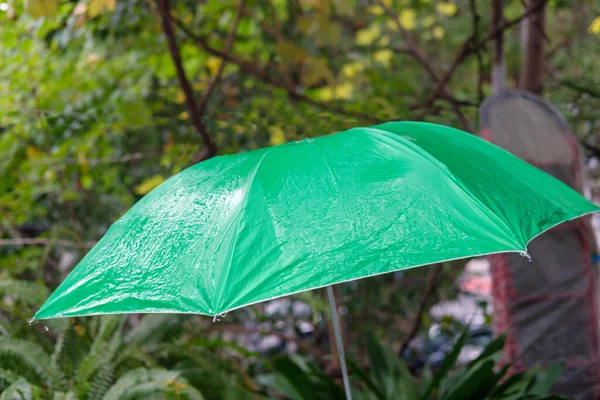 Nasser Grüner Regenschirm Mit Verschwommenem Naturhintergrund — Stockfoto