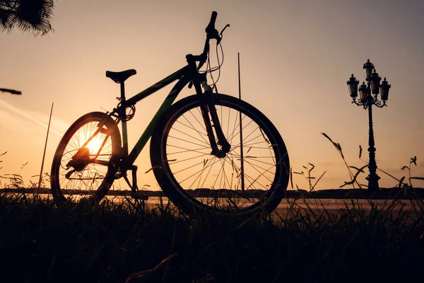 Sylwetka Roweru Zachodzie Słońca Słońce Świeci Przez Koło Rowerowe Sylwetką — Zdjęcie stockowe