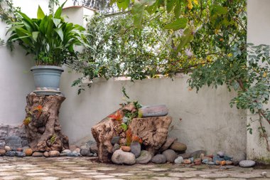 Karışık kesilmiş kütüğün üzerine saksı bitkisi, evin dekore edilmiş köşesi. 