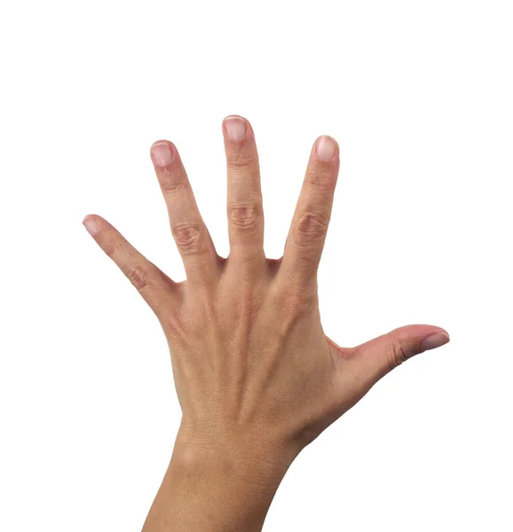 Offene Weibliche Hand Die Alle Fünf Finger Zeigt Isoliert Auf — Stockfoto