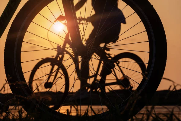close-up silhouette of a bike wheel at sunset. The sun shines through the wheel of a bicycle, selective focus