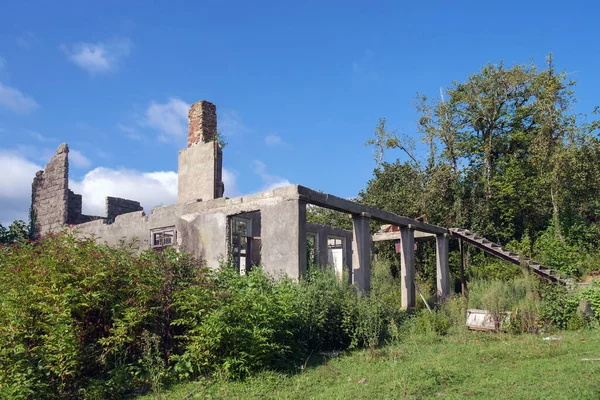 荒废的老房子在长满青藤和植物的田野里破烂不堪 — 图库照片