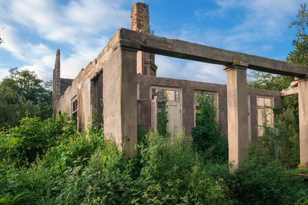 Oude Verlaten Wrak Huis Overwoekerd Met Groene Planten — Stockfoto