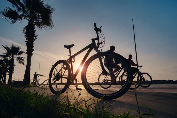 Silhueta Uma Bicicleta Pôr Sol Sol Brilha Através Estrutura Bicicleta — Fotografia de Stock