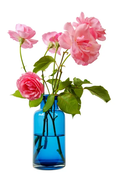 Rosas Cor Rosa Vaso Vidro Transparente Azul Isolado Fundo Branco — Fotografia de Stock