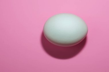 Pembe bir yüzeyde beyaz bir çiğ yumurta.
