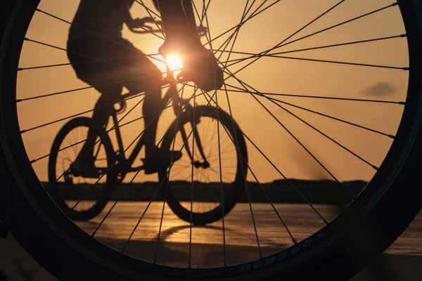 Close-up silhouette of a bike wheel at sunset. The sun shines through the wheel of a bicycle, selective focus