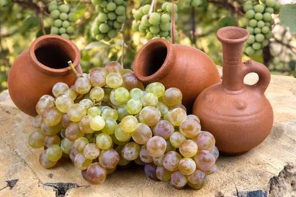 Brocche Decorative Tradizionali Georgiane Vino Con Uva Sulla Fetta Tronco — Foto Stock