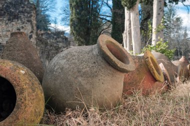 Geleneksel Gürcistan geleneksel şarap testileri sahada bulanık ağaçlarla çevrili. 