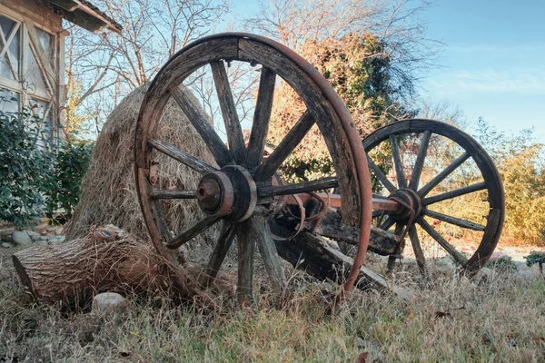 Çiftlik bahçesinde eski ahşap at arabası tekerlekleri