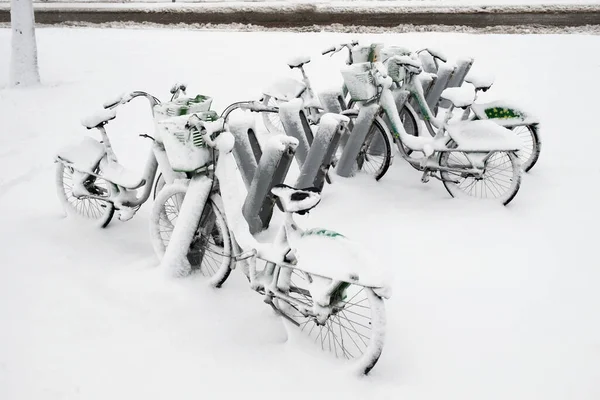 自行车在冬天停放 成排的自行车被雪覆盖着 — 图库照片