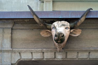 Fribourg, İsviçre - 15 Aralık 2024: Fribourg, İsviçre 'deki eski bir kasap dükkanının işareti olarak boğa başı