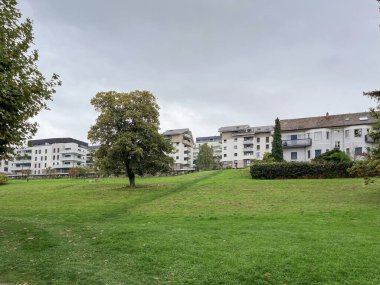 Arka planda modern konut binaları olan yeşil park alanı