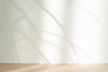 Tropikal bitki gölgeleriyle bej soyut arka plan. Asgari yaratıcı konsept. Boşluğu kopyala.