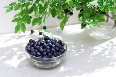 Taze dutlu cam kavanoz, yaban mersini çalısı. Boşluğu kopyala.
