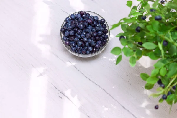 Glass Jar Fresh Bilberry Bilberry Bush Copy Space — Stock Photo, Image