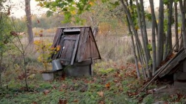 Çalıların arasında terk edilmiş bir kuyu.