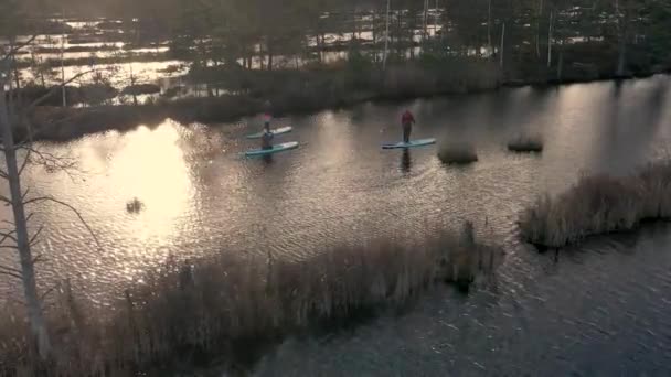 Sup Boats Float Swamp — Stock Video