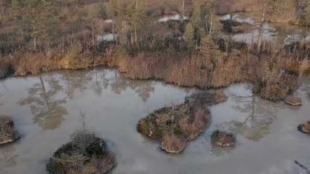Mysterieuze Moeras Herfst Drone View — Stockvideo