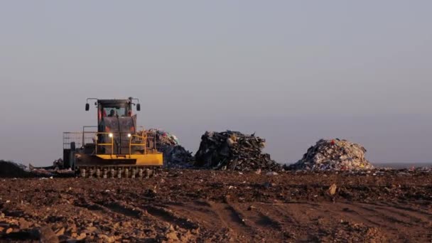 Schwere Maschinen Bei Der Arbeit Auf Einer Mülldeponie — Stockvideo