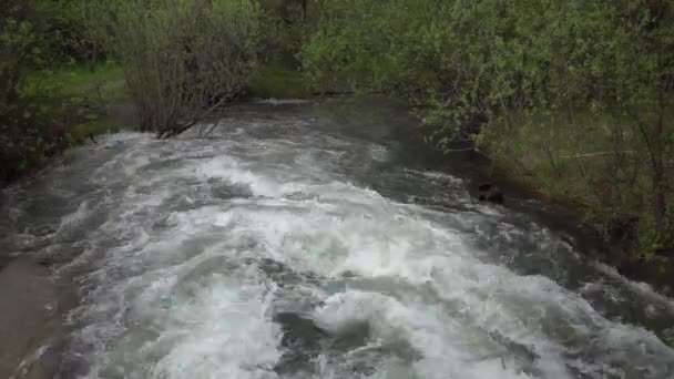 Agua Esclusa Entra Río Vista Desde Presa — Vídeos de Stock