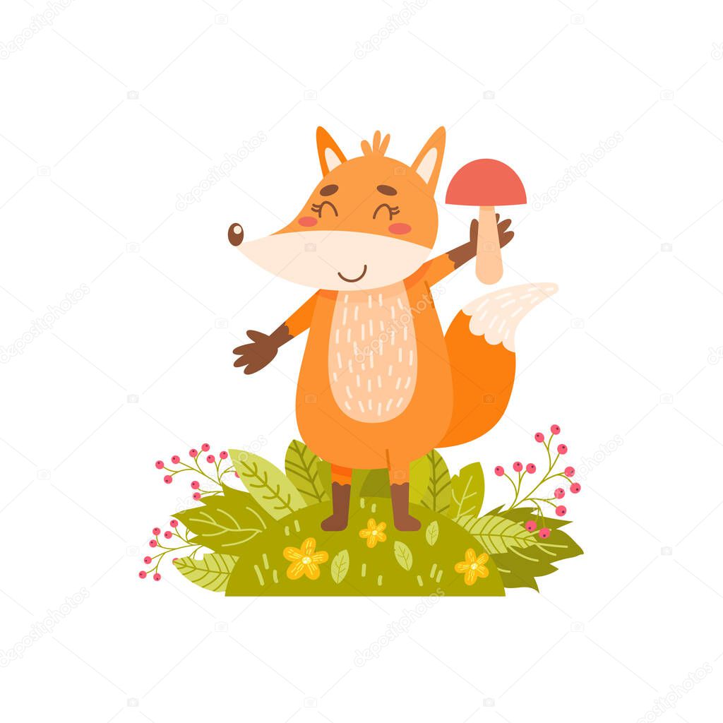 Cute fox holds a mushroom on a white background.