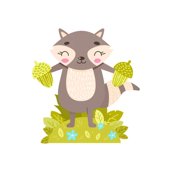 Un mapache lindo sostiene bellotas en sus patas. — Vector de stock