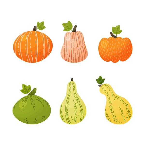 Ensemble de citrouilles multicolores vectorielles pour les vacances. — Image vectorielle