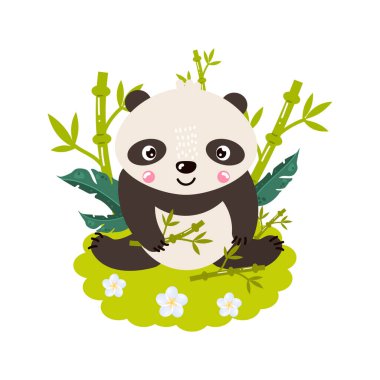 Yavru panda bambuların ortasında çimlerde oturur ve gider..