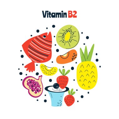 B2 vitamini ana besin kaynakları lahana, balık, fındık. El çizimi bir vektör illüstrasyonu. Farmakolojik ya da tıbbi afiş, broşür, afiş için mükemmel..