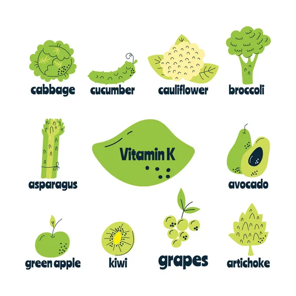 Las principales fuentes alimenticias de vitamina K. El concepto de alimentación saludable. — Vector de stock