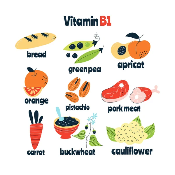 Las principales fuentes alimentarias de vitamina B1. Concepto de comida saludable. — Vector de stock