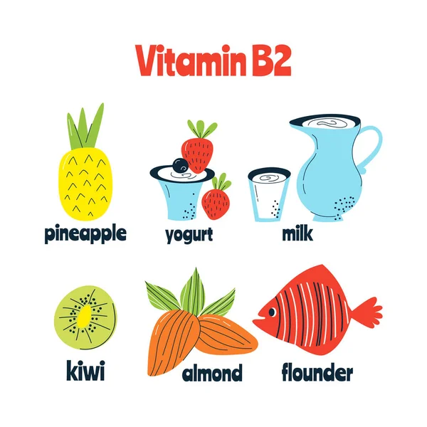 Las principales fuentes alimentarias de vitamina B2. Concepto de comida saludable. — Vector de stock